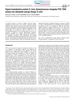 Signal-transduction protein PII from Synechococcus elongatus PCC
