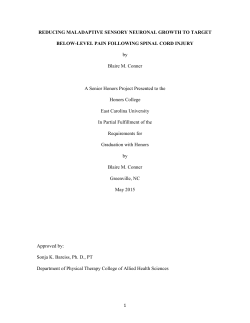 Senior Honors Thesis - The ScholarShip at ECU