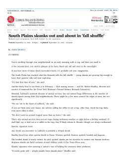 South Plains skunks out and about in `fall shuffle`