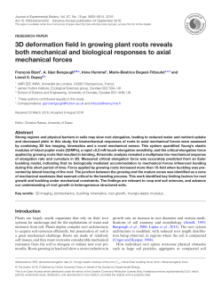 3D deformation field in growing plant roots reveals both mechanical