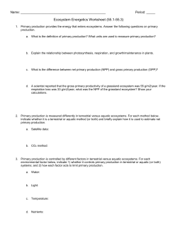 ch 55 Guided Reading