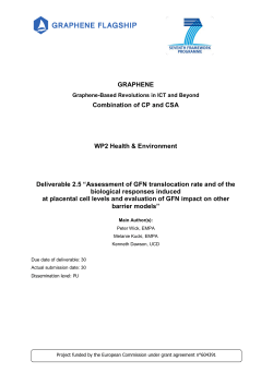 Non confluent Caco-2 cells