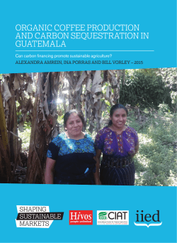 Organic cOffee prOductiOn and carbOn sequestratiOn in