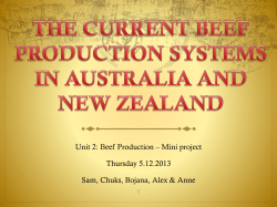 the current beef production in australia