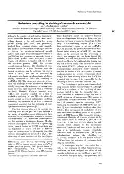 Mechanisms controlling the shedding of transmembrane molecules