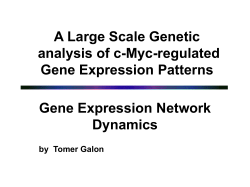 A large scale genetic analysis of c-Myc