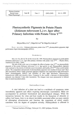Photosynthetic Pigments in Potato Plants (Solatium