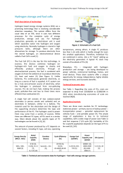 Hydrogen Storage and Fuel Cells