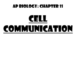 cell response