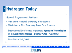 Argentina Congress Hearing Presentation