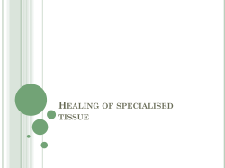Healing of specialised tissue