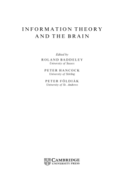 information theory and the brain - Assets