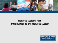 1 Intro to the Nervous System