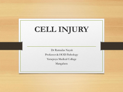 cell injury