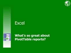 excel pivot table