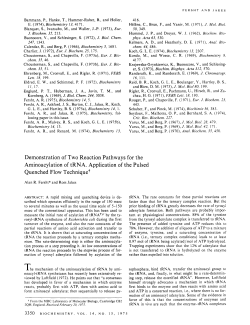 Demonstration of Two Reaction Pathways for the Aminoacylation of