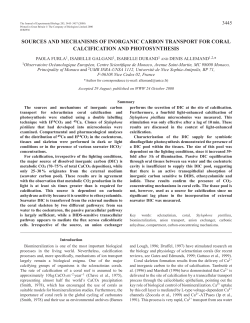 Carbon sources for coral calcification and photosynthesis
