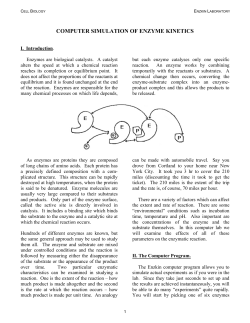 COMPUTER SIMULATION OF ENZYME KINETICS