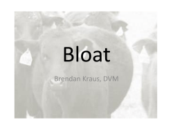 Bloat