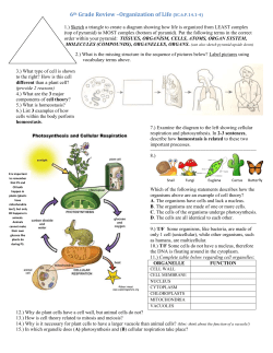 A. The organisms have cells and lack a nucleus.