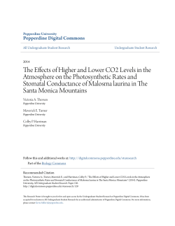 The Effects of Higher and Lower CO2 Levels in the Atmosphere on