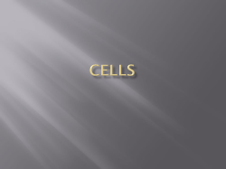 Cells- ATP, DNA, RNA