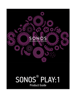 SONOS PLAY:1