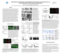 Entry Barrier to HIV Infection of Astrocytes Can