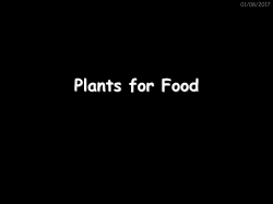 Plants and Photosynthesis