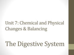 Digestive System