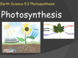 Earth Science 5.2 Photosynthesis