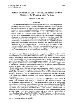 Further Studies on the Use of Protein A in Immune Electron