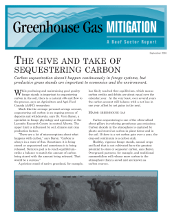 the give and take of sequestering carbon