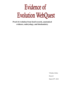 Proof of evolution from fossil records, anatomical