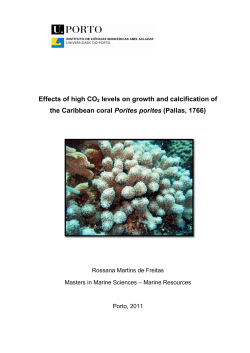Effects of high CO2 levels on growth and calcification of the