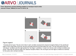 Slide - Journal of Vision