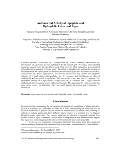 Antibiotic production by the algae
