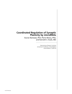 Coordinated Regulation of Synaptic Plasticity by microRNAs