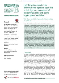 Light-harvesting mutants show differential gene expression upon