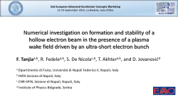 Numerical investigation on formation and stability of