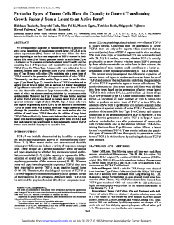 Particular Types of Tumor Cells Have the Capacity to Convert