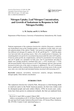 Nitrogen Uptake, Leaf Nitrogen Concentration