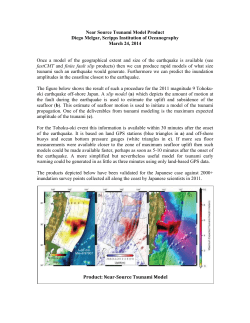 Near Source Tsunami Model