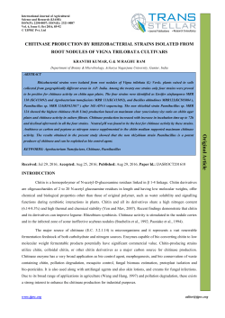 Chitinase production by rhizobacterial strains Isolated from root