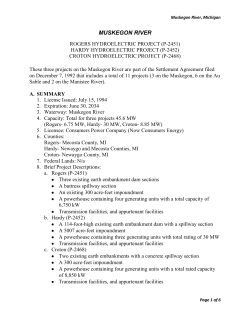 Muskegon River Projects - River Management Society