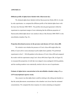 Supplemental Information