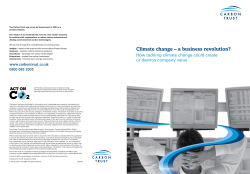 Climate change &ndash; a business revolution?