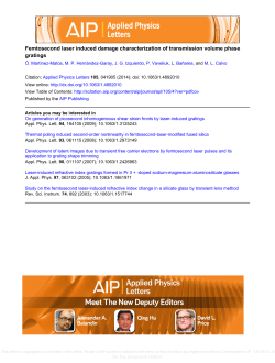Femtosecond laser induced damage characterization of