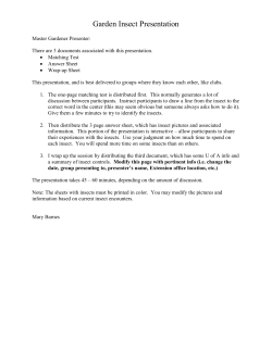 Garden Insects - The University of Arizona Extension