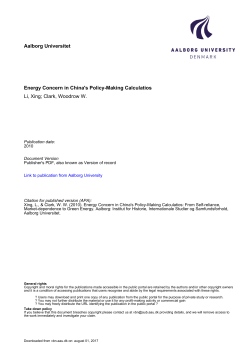 Aalborg Universitet Energy Concern in China`s Policy